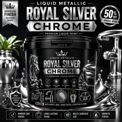 Royal Silver Paint
