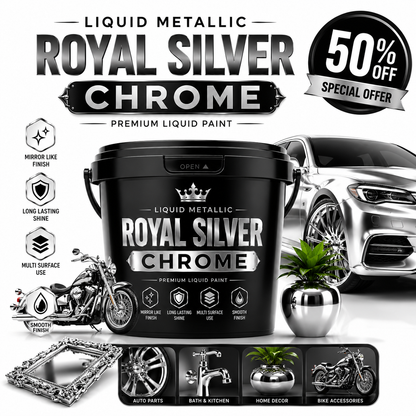 Royal Silver Paint